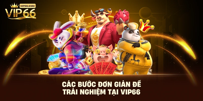 Các bước đơn giản để trải nghiệm tại Vip66