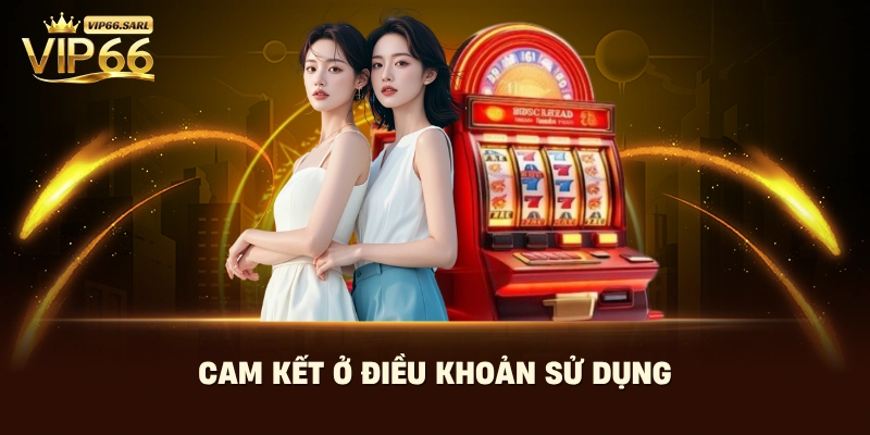 Cam kết ở điều khoản dịch vụ