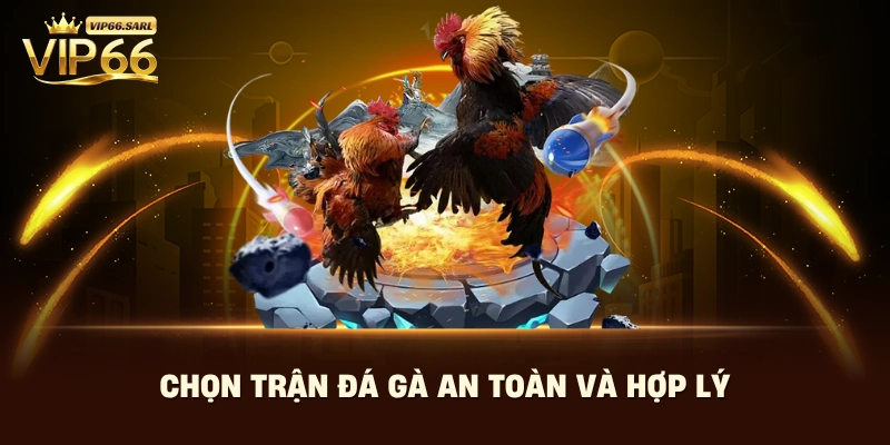 Chọn trận đá gà an toàn và hợp lý 