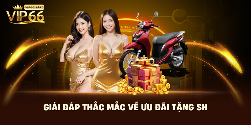 Giải đáp thắc mắc về ưu đãi điểm danh mỗi ngày nhận ngay xe máy SH