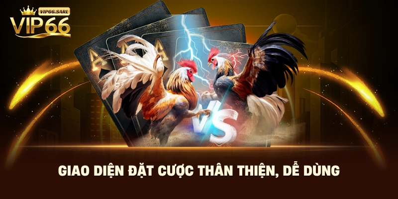 Giao diện đặt cược thân thiện, dễ dùng 