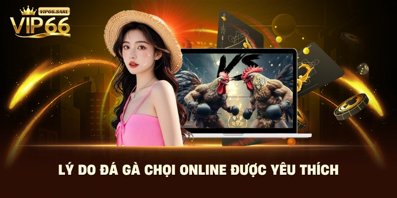 Lý do đá gà chọi online được yêu thích