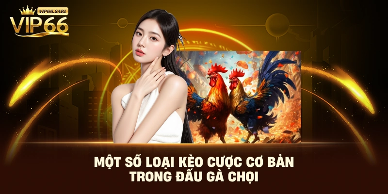 Một số loại kèo cược cơ bản trong đấu gà chọi