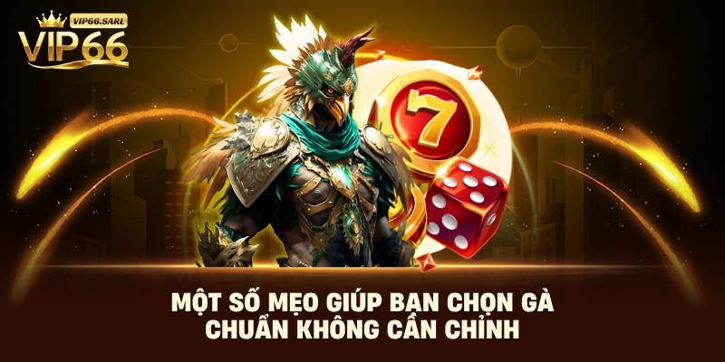 Một số mẹo giúp bạn chọn gà chuẩn không cần chỉnh