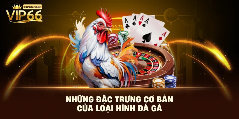 Những đặc trưng cơ bản của loại hình đá gà