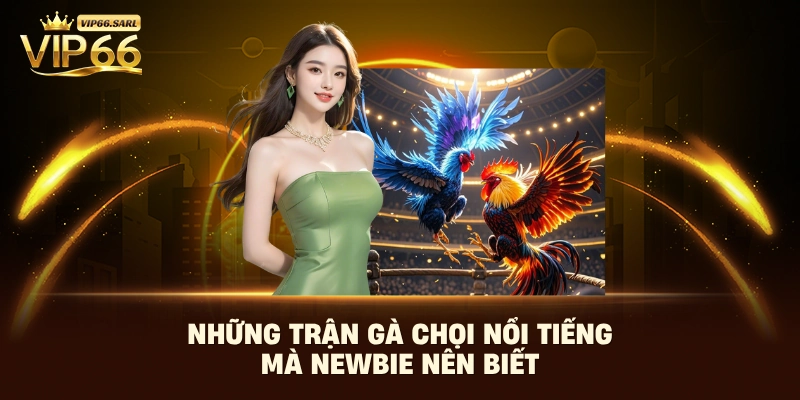 Những trận gà chọi nổi tiếng mà newbie nên biết