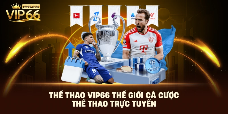 Thể thao Vip66 thế giới cá cược thể thao trực tuyến 