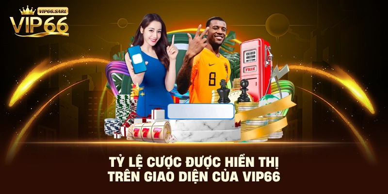 Tỷ lệ cược được hiển thị trên giao diện của Vip66