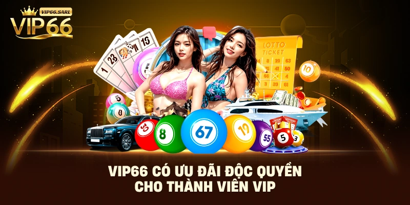 Vip66 có ưu đãi độc quyền cho thành viên vip